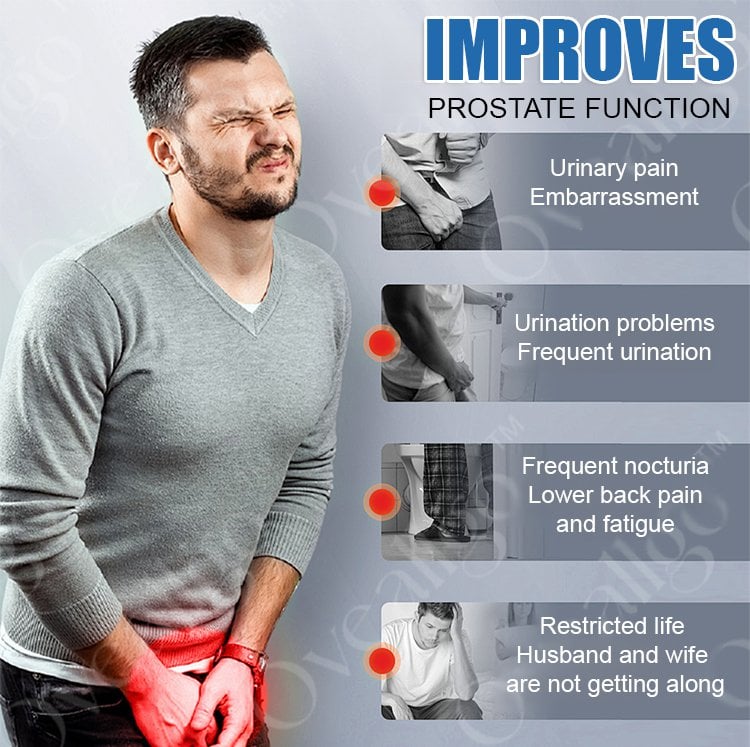 WhatsApp Image 2026-03-29 at 12.23.37 PM