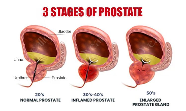 WhatsApp Image 2026-03-30 at 10.54.34 PM (1)