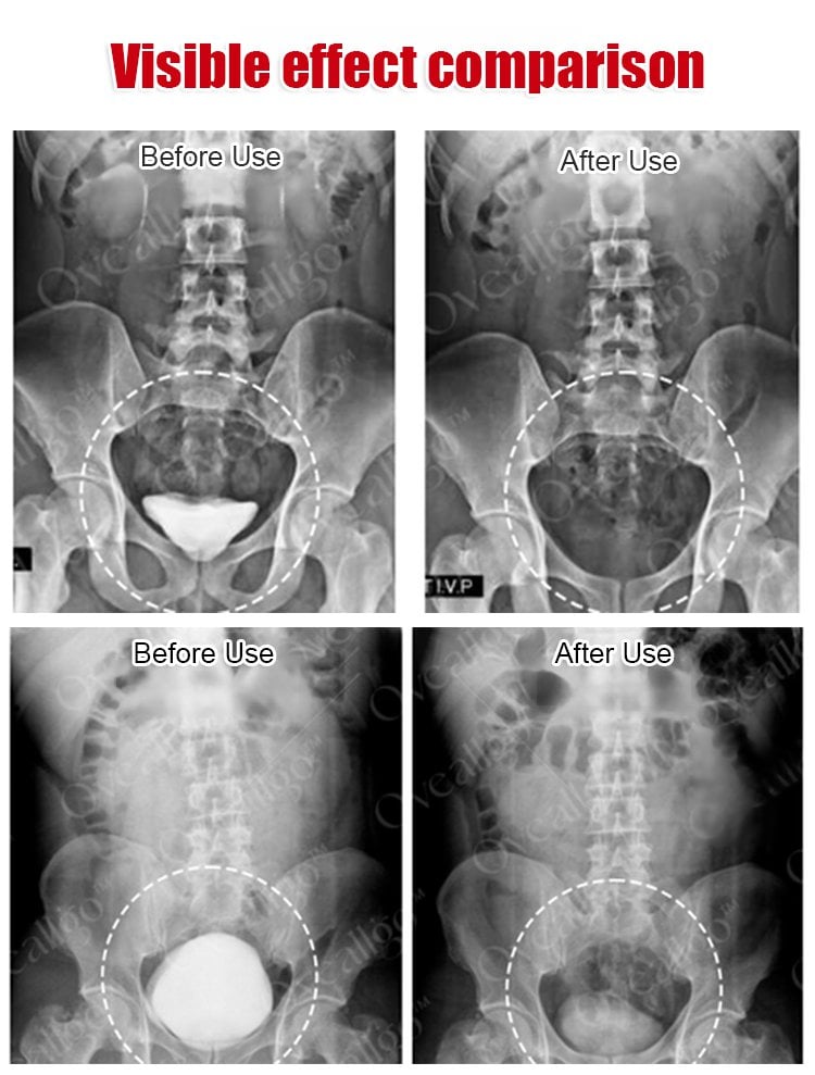 WhatsApp Image 2026-03-30 at 10.54.34 PM (3)